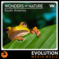 Wonders Of Nature, South America