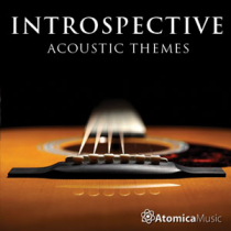Introspective Acoustic Themes