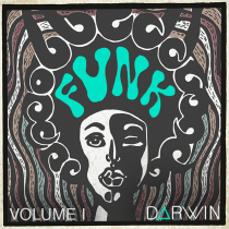 Funk - Volume 1