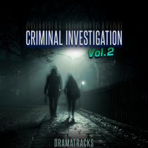 Criminal Investigation Vol2