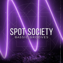 Bassic Grooves