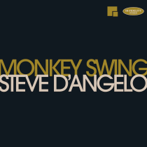 Steve DAngelo Monkey Swing