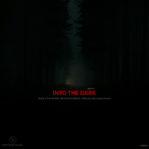 TM-043 Into The Dark