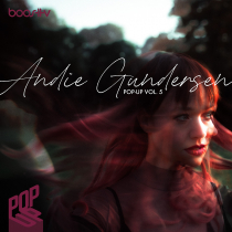 Pop Up Vol 5 Andie Gundersen