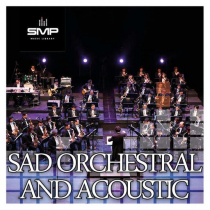Sad Orchestral and Acoustic