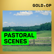 Pastoral Scenes