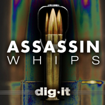 Assassin - Whips