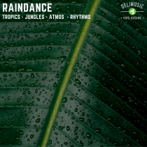 Raindance