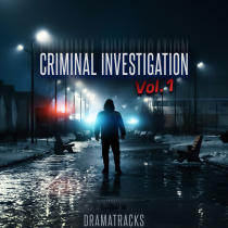 Criminal Investigation Vol1