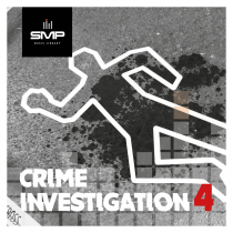 Crime Investigation 4