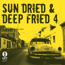 Sun Dried and Deep Fried 4