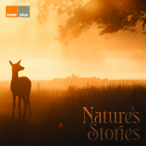 Natures Stories