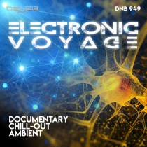 Electronic Voyage