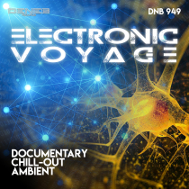Electronic Voyage