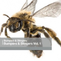 Bumpers and Stingers Vol 1
