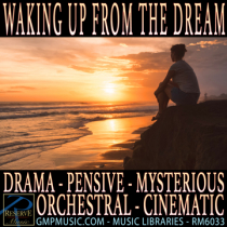 Waking Up From The Dream