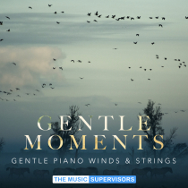 Gentle Moments Gentle Piano Winds and Strings