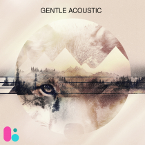 Gentle Acoustic