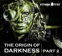 The Origin of Darkness 2