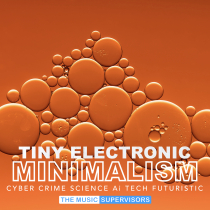 Tiny Electronic Minimalism Science and Technology