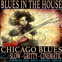 Blues In The House Chicago Blues Slow Gritty Cinematic
