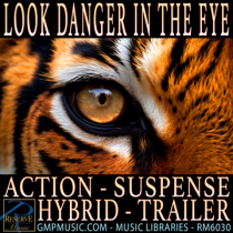 Look Danger In The Eye