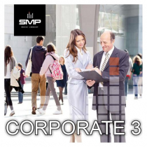 Corporate 3