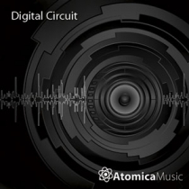 Digital Circuit