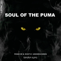 Soul of The Puma