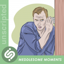 Meddlesom Moments