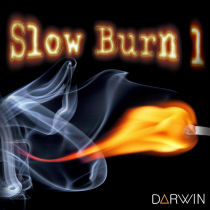 Slow Burn - Volume 1