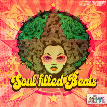 Soul Filled Beats