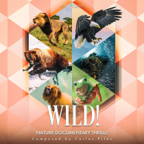 Wild Nature Documentary Thrills