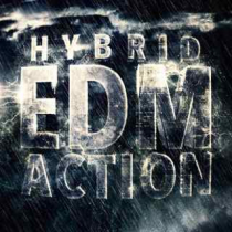 Hybrid EDM Action