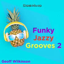 Funky Jazzy Grooves 2