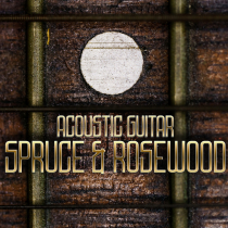 Spruce and Rosewood Acoustic Guitar