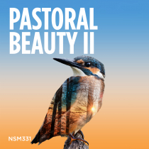 Pastoral Beauty II