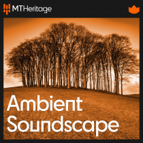Ambient Soundscapes Vol  1