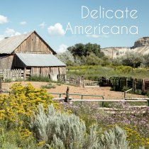 Delicate Americana