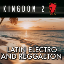 Latin Electro and Reggaeton
