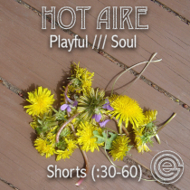 Hot Aire Shorts