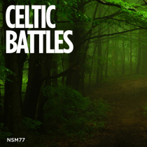 Celtic Battles
