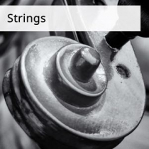 Strings