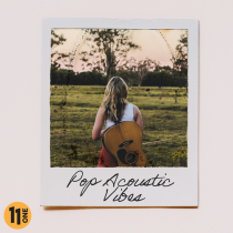 Pop Acoustic Vibes