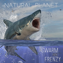 Natural Planet Swarm and Frenzy