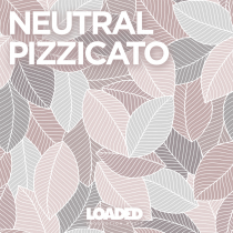 Neutral Pizzicato