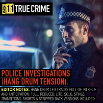 Police Investigations (Hang Drum Tension)