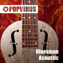Bluesman Acoustic