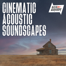Cinematic Acoustic Soundscapes