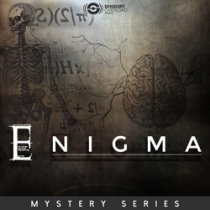 Mystery Series - Enigma